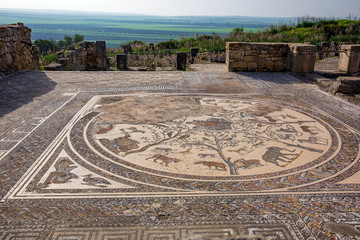 ヴォルビリスのモザイク画