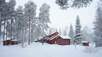 House in snow