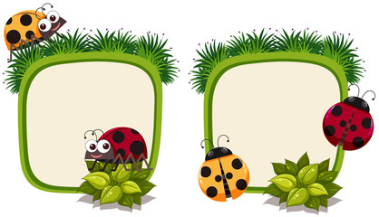 Border template with ladybirds