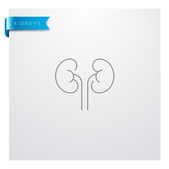 icône Médecine - Santé - Médical - Reins - Organes