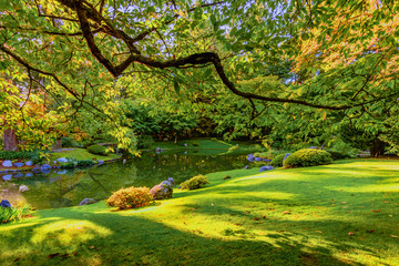 lawn with clipped green grass near a river in a park with trees