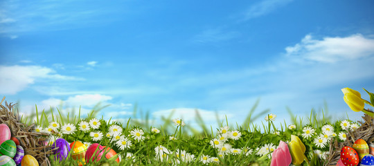 Ostern Hintergrund - Wiese mit Ostereiern