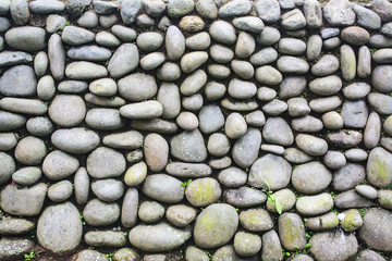 Exterior Pebble Stone Wall with Weed and Moss Grow On it. Texture Background. 