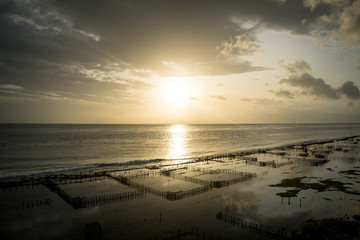 Plantations of Seaweed algae at sunrise on the island of Nusa Penida, Indonesia