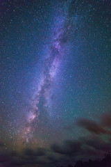 Night  sky with clouds and milky way and trees in summer time