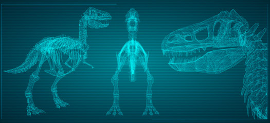 three-dimensional volumetric skeleton of the dinosaur in trianulyatornom style. vector for design © coffeemill