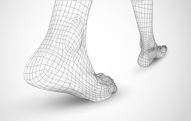 3d illustration of a vector of human feet walking along