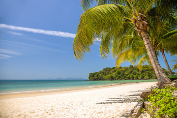 View of nice tropical beach with palms around. Holiday and vacation concept. Tropical beach.
