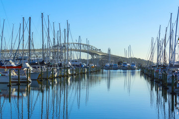 Fototapeta na wymiar Boats at Westhaven Marina, Auckland New Zealand