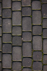 texture of pavers and stone.