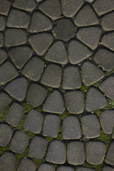 texture of pavers and stone.