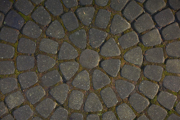 texture of pavers and stone.