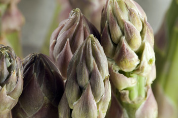 Fototapeta premium Punte Asparagi