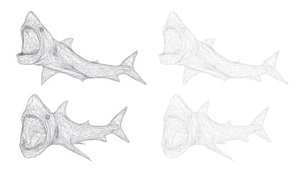 vector 3d shark from a triangular grid.