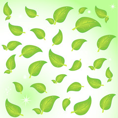 spring gentle leaves, vector illustration