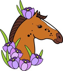 Brown horse head with purple crocus flowers on white background