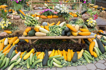 Exhibition vegetables background.Variation vegetables background