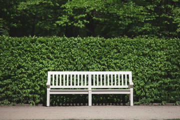 empty white bench in the park