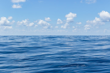 Obraz premium Deep blue sea 5