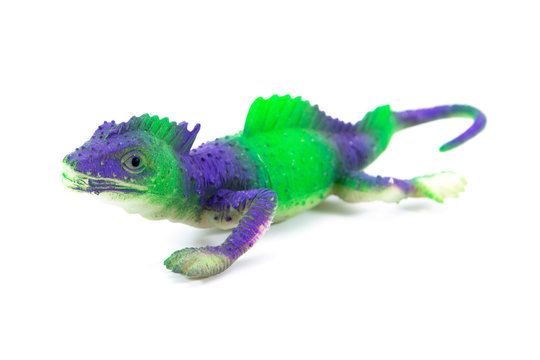 Front of Iguana toy isolated on white background