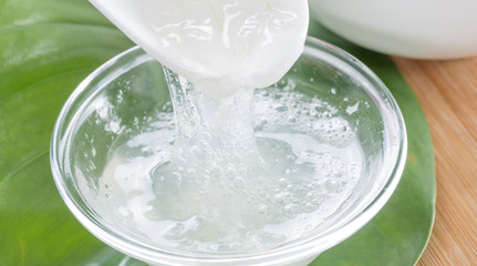 Extract of aloe vera plant. Fresh aloe vera leaves with aloe vera juice