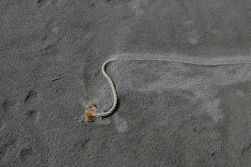 Fototapeta na wymiar 砂に埋もれたロープ