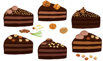 Set of chocolate cake with nuts and cream.  Portion. Cake cut sliced with cuttings. A piece of chocolate cake. Dessert close-up isolated on white background. Vector illustration.