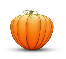 A large festive pumpkin.