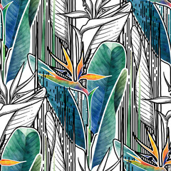 Combined strelitzia pattern