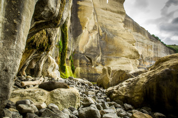 Sleeping seal at Tunnel beach, Dunedin, New Zealand