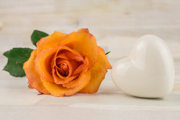 Orange rose with water drops and a white heart, wooden background