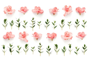 Crédence de cuisine en verre imprimé Azalée Spring Pattern With Pink Flowers And Green Leaves On White Background