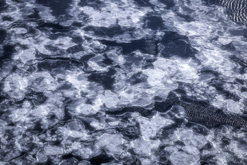 Blue sea surface with thin ice texture, background