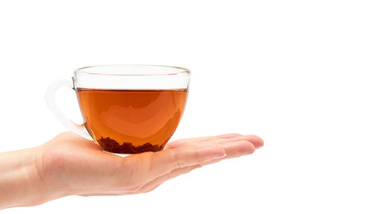 Female hand holds a cup of tea. Isolated on white background. copy space, template