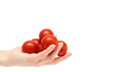 Beautiful female hand holds red tomato gesture. Isolated on white background. copy space, template.