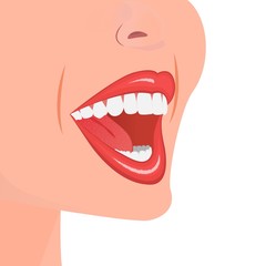 Naklejka premium Teeth - open adult mouth model with upper and lower jaw and its thirty-six permanent teeth. Abstract isolated vector illustration on white background.