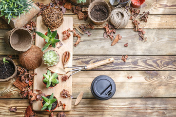 Workplace of the florist. Succulents and accessories for replacing of plants. Top view. Copy space