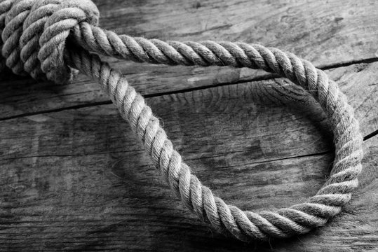 Gallows noose knot - black and white image Death penalty concept