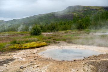  View of a Meadow with Steaming Hot Springs, Haukadalur Valley, Southern Iceland