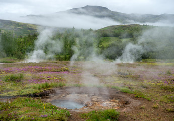  View of a Meadow with Steaming Hot Springs, Haukadalur Valley, Southern Iceland