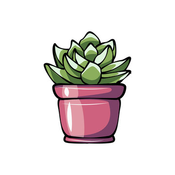 Succulent potted plant flat color icon for apps and websites. 