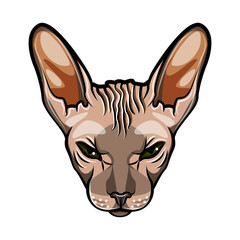 Domestic cat s face. Sphynx breed. Comic cartoon style.  illustration isolated on white