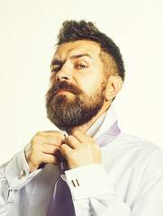 Bearded man buttoning his shirt at neck. He is dressing in the morning. Clothes detail. Morning dress up. Confident businessman in shirt, dressing up and adjusting tie on neck. Closeup portrait.