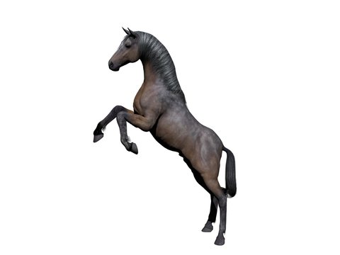 White and grey horse on white background - 3d rendering