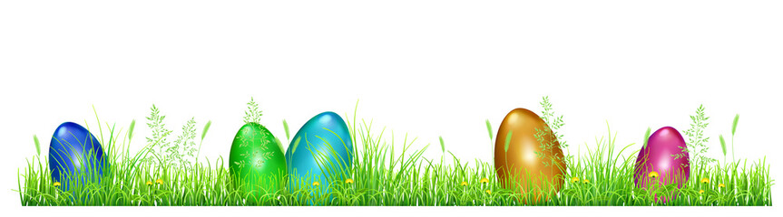 Easter eggs in green grass with dandelions and spikelets on white background