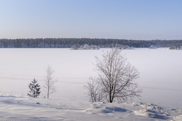 Winter landscape. Snow covered trees.