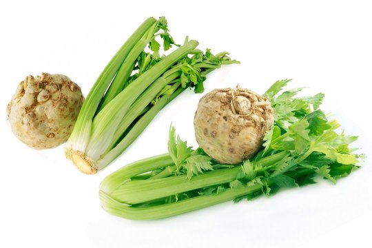 root celery and leaf-celery 