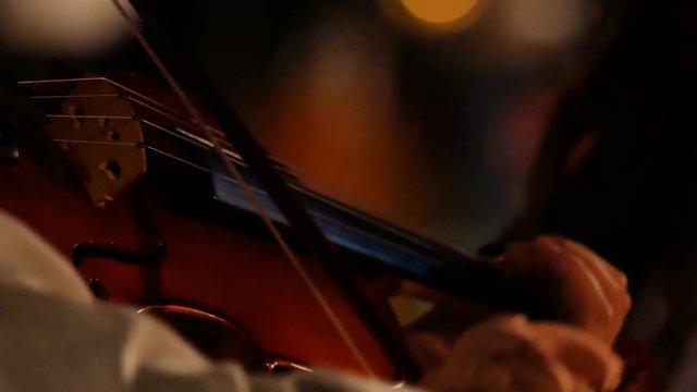 4K Musicians playing violin at a outdoor night concert