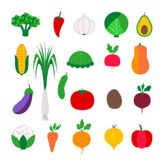 Set colorful vegetable