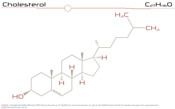 Large and detailed infographic of the molecule of Cholesterol
